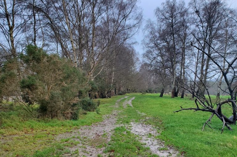 Wye valley path near Llangoed Hall