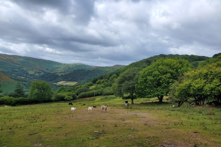 Looking over the hills near Llanwrthwl