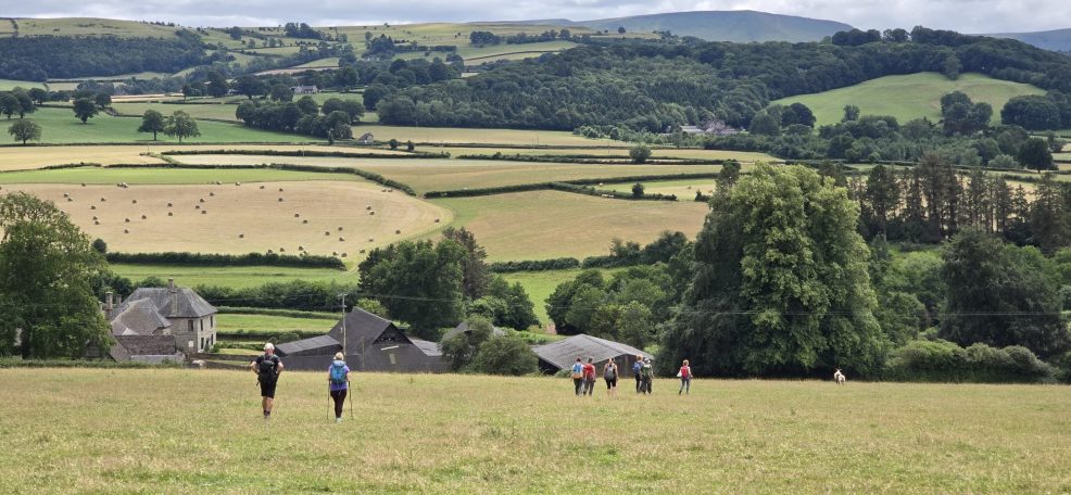 Fields near Priory Wood