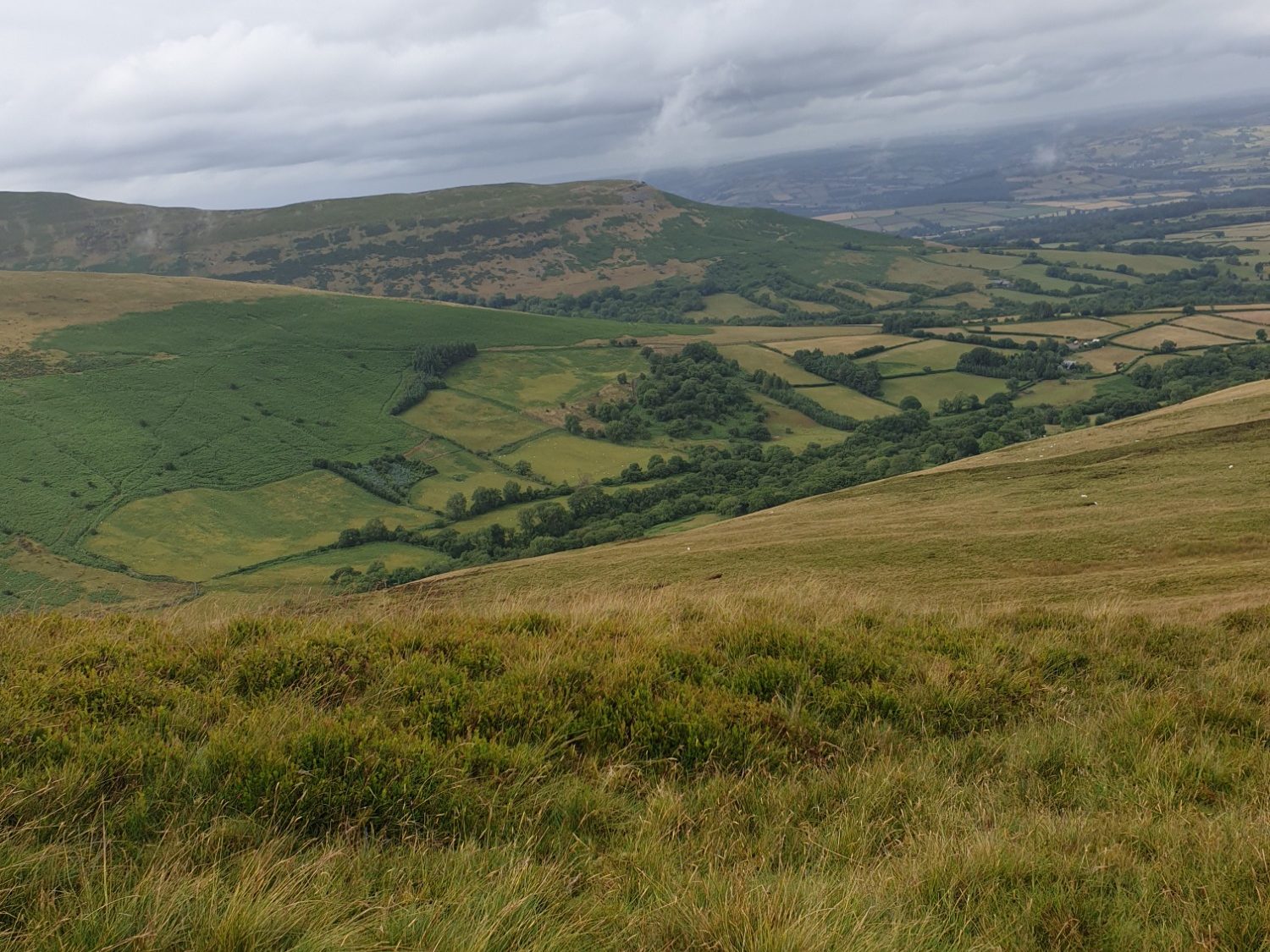 Mountain scene showing green welsh farmland