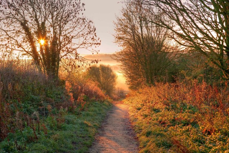 Cotswold Way path along a lane, headed to sun set