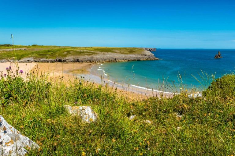 Broad Haven beach in the summer, looking through summer flowers
