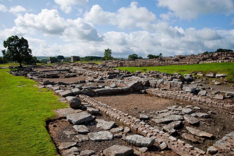 Looking across the Roman ruins of Vindolanda
