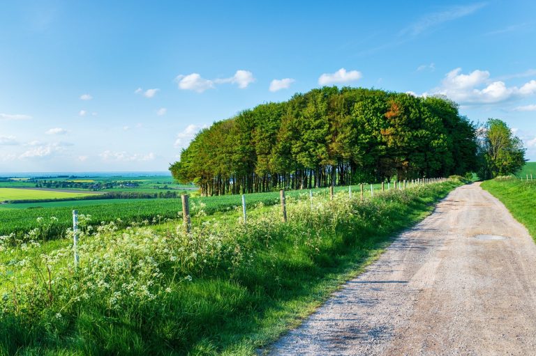 The Ridgeway path leading toward Hackpen Hill near Avebury