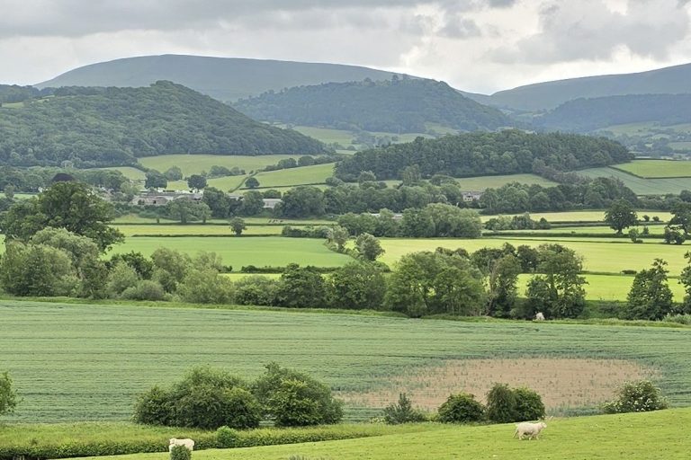 View towards to Black Mountains View towards to Black Mountains