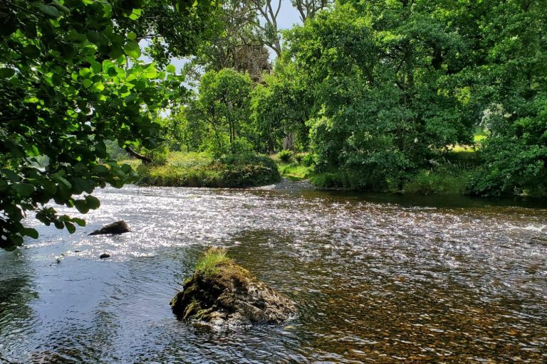 River Wye near Rhayader
