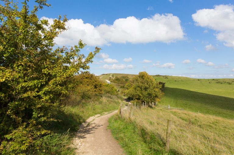 Ridgeway path heading to Ivinghoe Beacon in the distance.