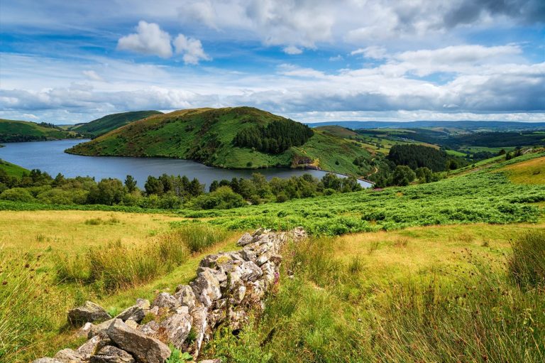 View over Llyn Clywedog Reservoir and the green lush mountains and fields surrounding.